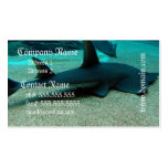 Sand Shark Business Card business cards
