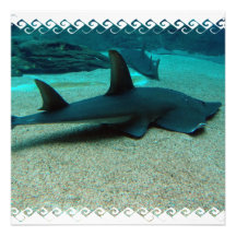 Sand Shark Invitations