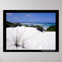Sanddunes Poster