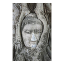 Sandstone head of Buddha surrounded by tree Art Photo