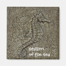 Sandy Textured Seahorse Photograph Refrigerator Magnets