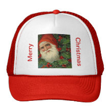 santa and holly hat