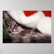 Santa Cat Posters
