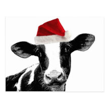 Santa Cow - Dairy Cow wearing Santa Hat Post Cards