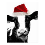 Santa Cow - Dairy Cow wearing Santa Hat Post Cards