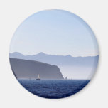Santa Cruz Island Refrigerator Magnet