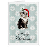 Santa Kitten Snowflakes Christmas Card
