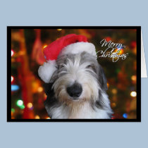 Santa Old English Sheepdog Christmas Card cards