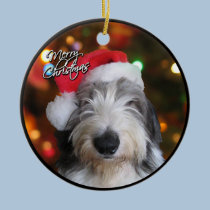 Santa Old English Sheepdog Christmas Ornament ornaments