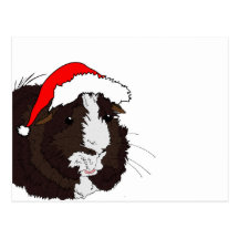 Santa Pig Post Card