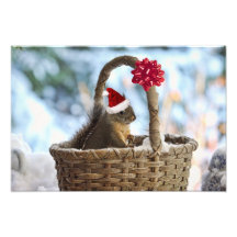 Santa Squirrel in Snow Photographic Print