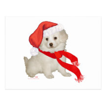 Santa's Helper Puppy Poodle / Bichon Mix Postcard