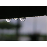 Saome Rain Drops In The Morning Acrylic Cut Outs
