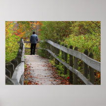 Sapsucker Woods in Autumn Print