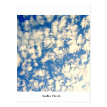 Sardine Clouds Postcard