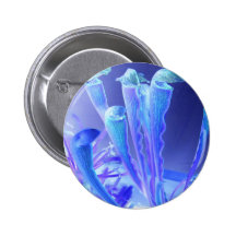 sarracenia blues pinback buttons