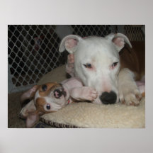 Sasha & Smuckers Poster