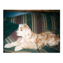 sassy2000 post card