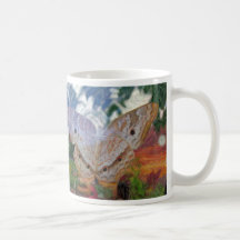 Satyr Butterfly - Mug