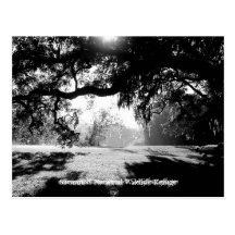 Savannah Post Cards