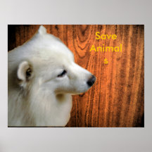 save animals Poster