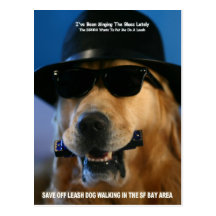 Save Off-Leash Dog Walking Senator Feinstein Post Card