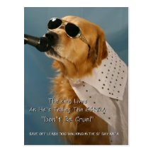 Save Off-Leash Dog Walking Senator Feinstein Postcard