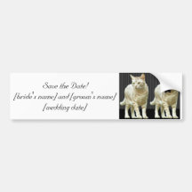 Save the Date! Bumper Sticker