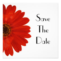 Save The Date Daisy Invite