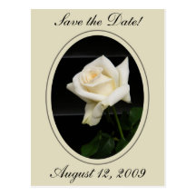 Save the Date! Framed White Rose Post Card