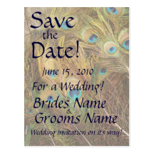 Save the Date Peacock Postcard