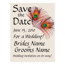 Save the Date Peacock Postcard