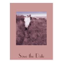 Save the Date Post Cards
