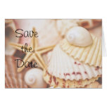 Save the Date Seashell Card