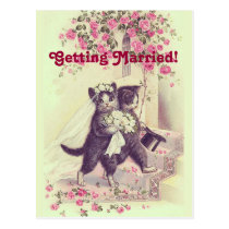 Save the Date Wedding Cats Postcard postcards