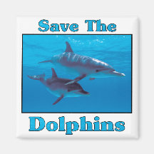 Save the Dolphins Magnet
