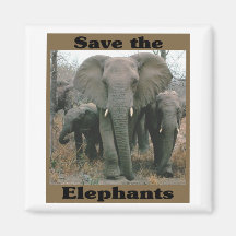 Save the Elephants Magnet