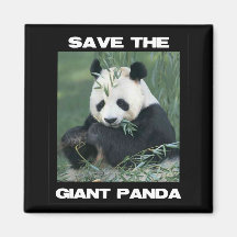 Save the Giant Panda Magnet