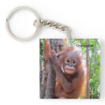 Save the Orangutans  Baby Uttuh Key Chain key chains