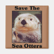 Save the Sea Otters Fridge Magnet