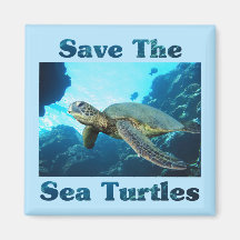 Save the Sea Turtles Refrigerator Magnet