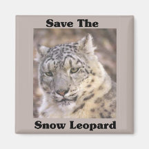 Save the Snow Leopard Refrigerator Magnets