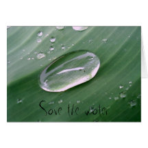 Save the water card
