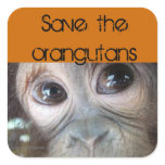 Saving Orangutans stickers