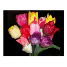 Say it with Tulips Postcard