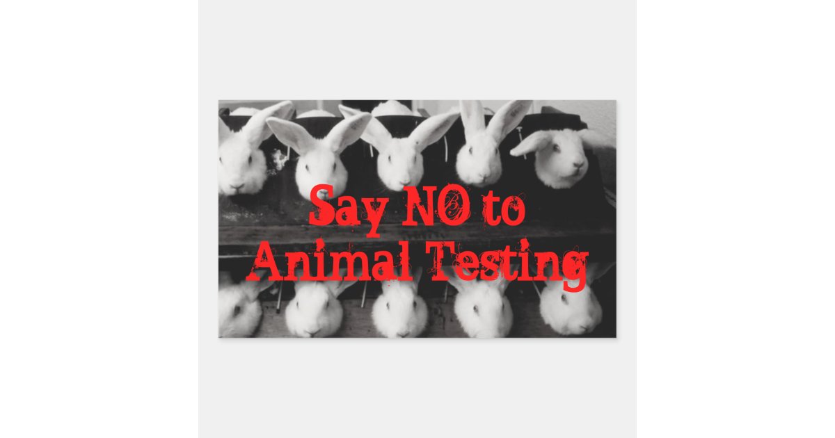 Say No to Animal Testing sticker | Zazzle