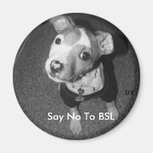 Say No To BSL Refrigerator Magnet