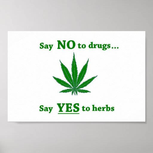 Say no to drugs essay