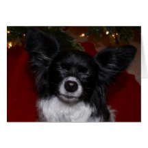 SB- Wishing You A Verry Merry Christmas Greeting Card