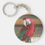 Scarlet Macaw Keychain